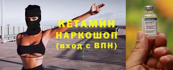 стафф Каменногорск