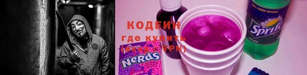 стафф Каменногорск