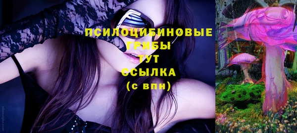 стафф Каменногорск