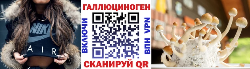 Купить закладки  Мегион  Псилоцибиновые грибы MAGIC MUSHROOMS 